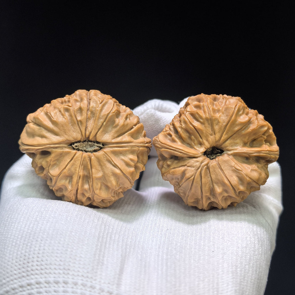 "Triangle Grand Reunion" Sanjiao Da Tuan Yuan Wenwan Walnuts (Pair) | 45.0mm x 42.0mm | Stock ID: TY-1503C - ThePatinaProject