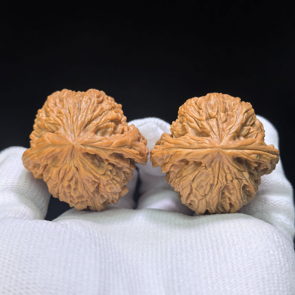 "Triangle Nanjiang Stone" Sanjiao Nanjiangshi Wenwan Walnuts Pair | 38.0mm x 38.0mm | NJS-1512C - ThePatinaProject