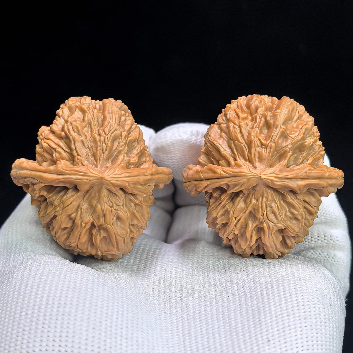 "Triangle White Lion" Sanjiao Baishizi BSJ-1305C Wenwan Walnuts Collector Pair | 41.0mm x 43.0mm | Stock ID: BSJ-1305C - ThePatinaProject