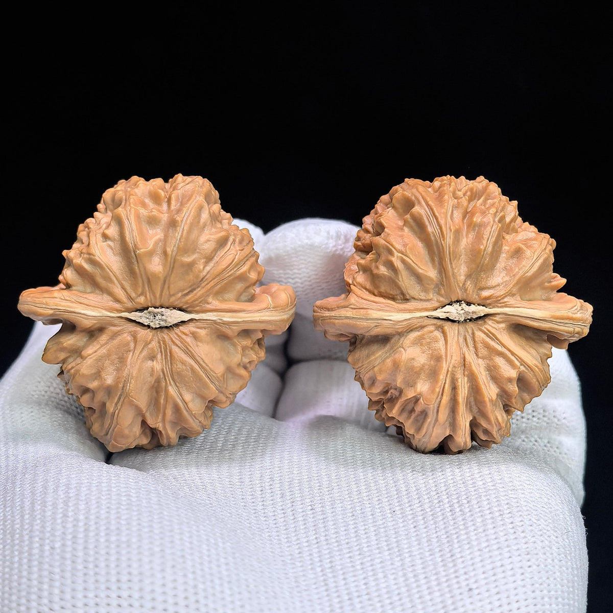 "Triangle White Lion" Sanjiao Baishizi BSJ-1305C Wenwan Walnuts Collector Pair | 41.0mm x 43.0mm | Stock ID: BSJ-1305C - ThePatinaProject