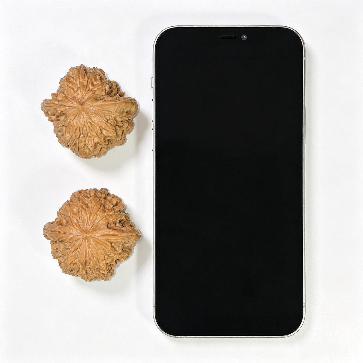Triangular Blizzard Wenwan Walnut Pair | Sculptural Three-Sided Form | 44.0mm × 43.0mm | SJBX-17D1 - ThePatinaProject