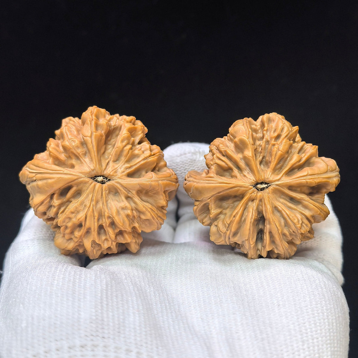 Triangular Blizzard Wenwan Walnut Pair | Sculptural Three-Sided Form | 44.0mm × 43.0mm | SJBX-17D1 - ThePatinaProject