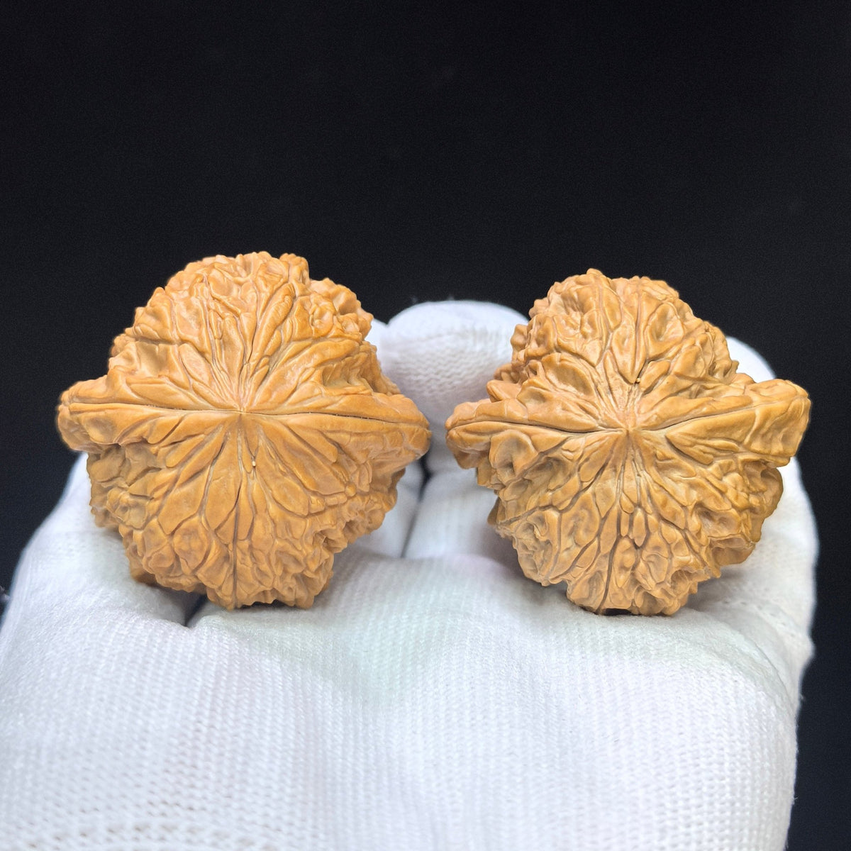 Triangular Blizzard Wenwan Walnut Pair | Sculptural Three-Sided Form | 44.0mm × 43.0mm | SJBX-17D1 - ThePatinaProject