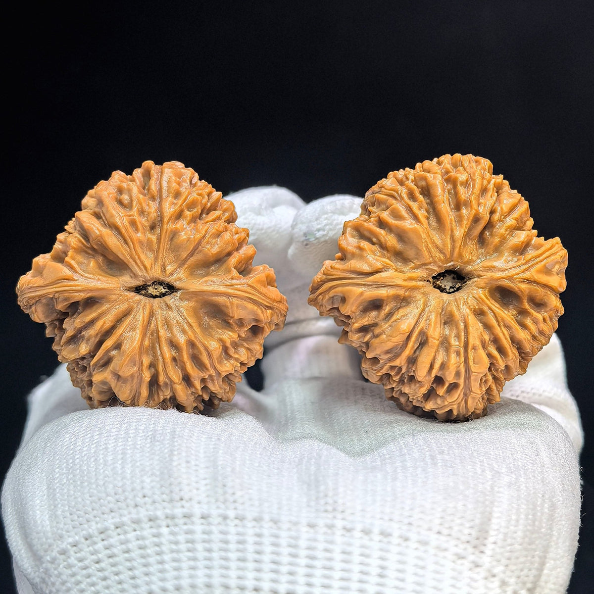 "Triangular Concave Base Nanjiang Stone" Aodi NJS-1507C Low-Profile Wenwan Walnuts Pair | 41.0mm x 41.0mm | NJS-1507C - ThePatinaProject