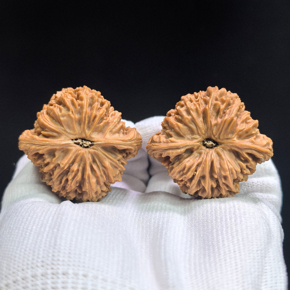 Triangular Concave-Base Nanjiang Stone Wenwan Walnut Pair | 43.0mm × 40.0mm | SJBDNJS-17C8C - ThePatinaProject