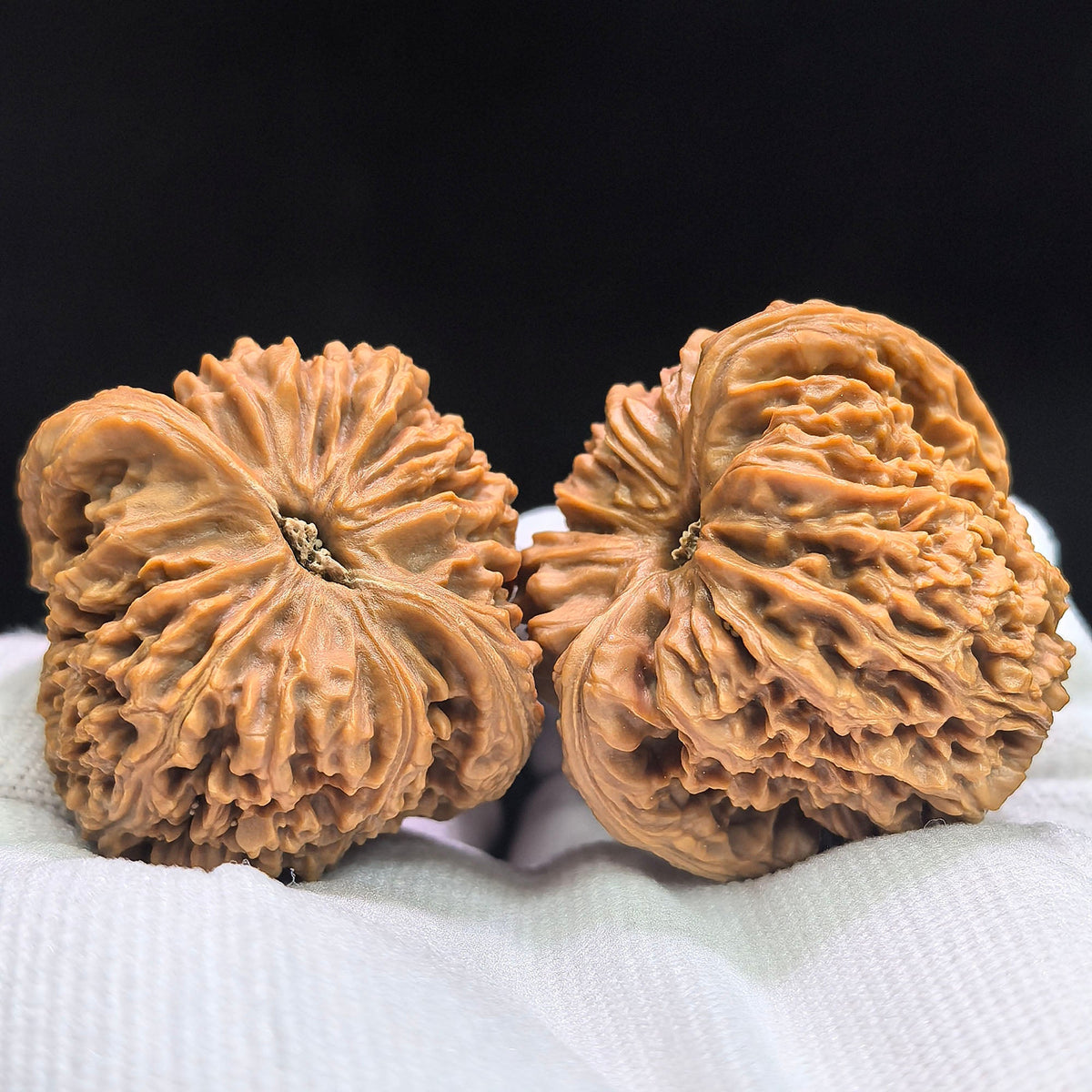 Triangular Concave-Base Nanjiang Stone Wenwan Walnut Pair | 43.0mm × 40.0mm | SJBDNJS-17C8C - ThePatinaProject