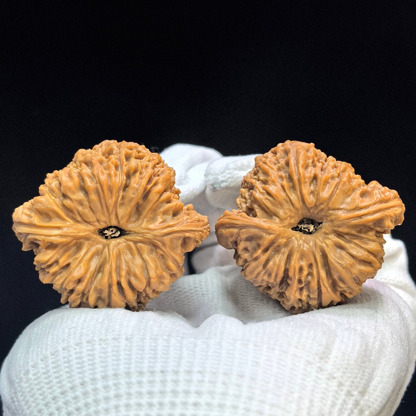 "Triangular Concave Base Nanjiangshi" Sanjiao Aodi Nanjiangshi NJS-1508C Low-Profile Wenwan Walnuts Pair | 41.0mm x 38.0mm | NJS-1508C - ThePatinaProject
