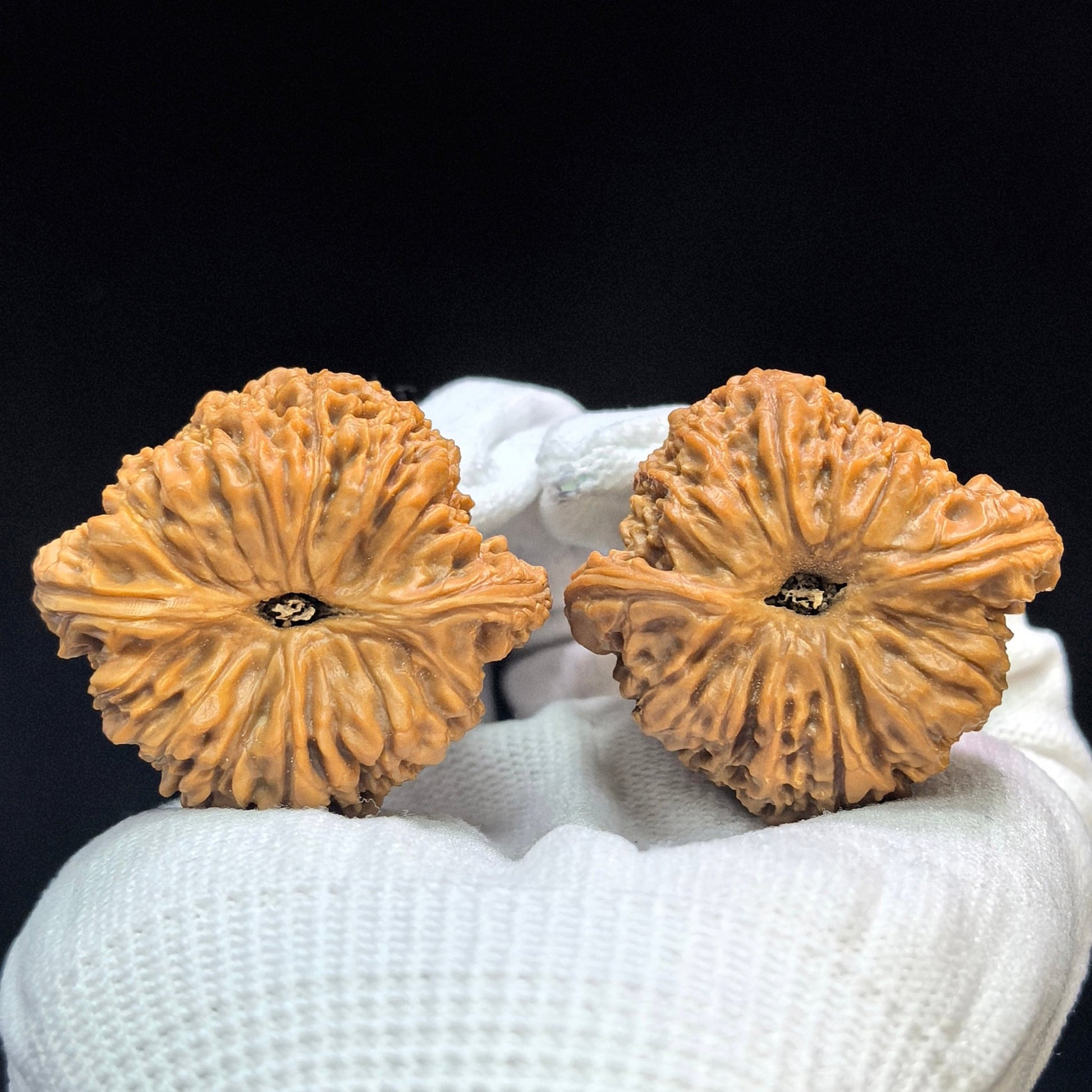"Triangular Concave Base Nanjiangshi" Sanjiao Aodi Nanjiangshi NJS-1508C Low-Profile Wenwan Walnuts Pair | 41.0mm x 38.0mm | NJS-1508C - ThePatinaProject