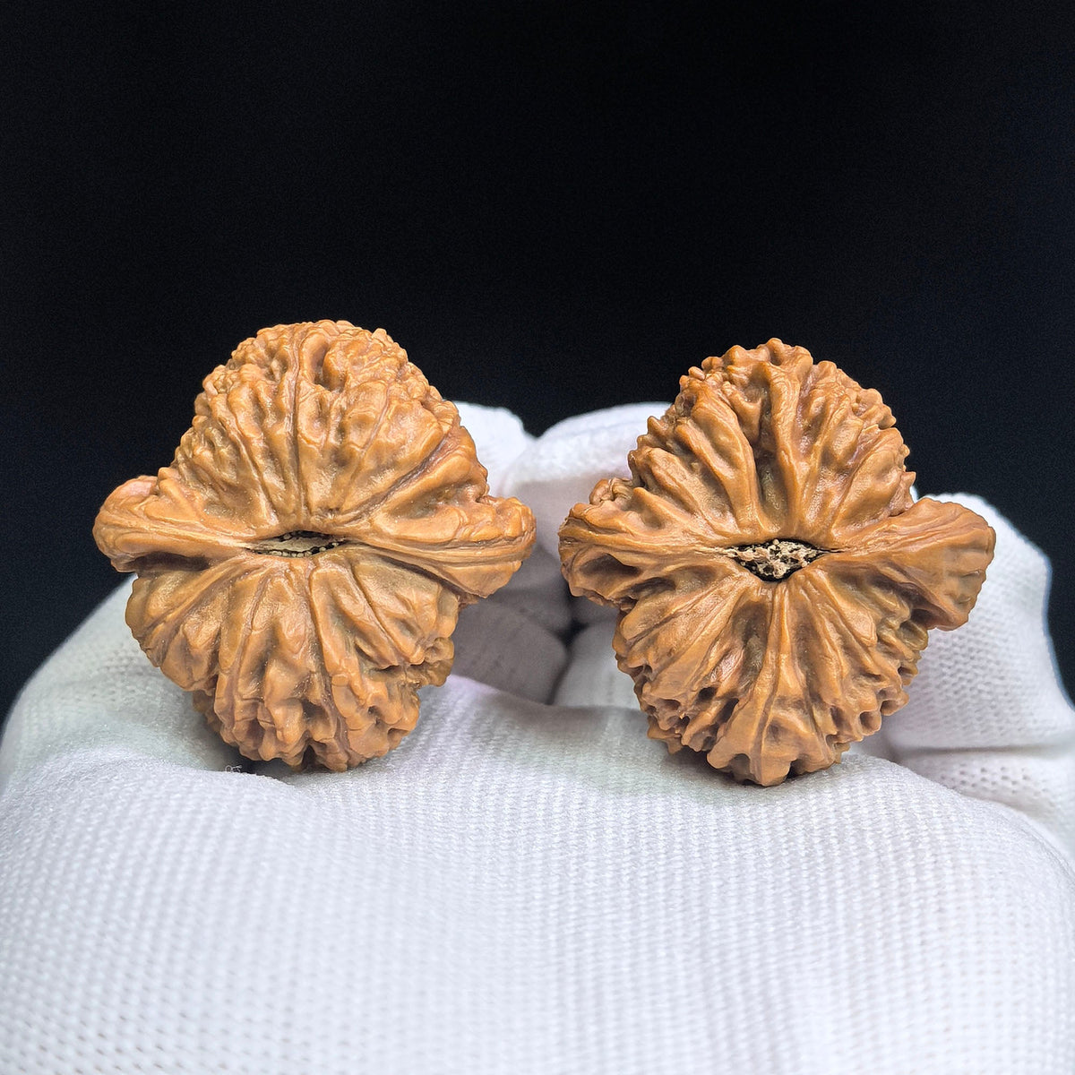 Triangular Nanjiangshi Wenwan Walnuts Pair | 36.0mm × 37.0mm | NJS-SY1I2 - ThePatinaProject