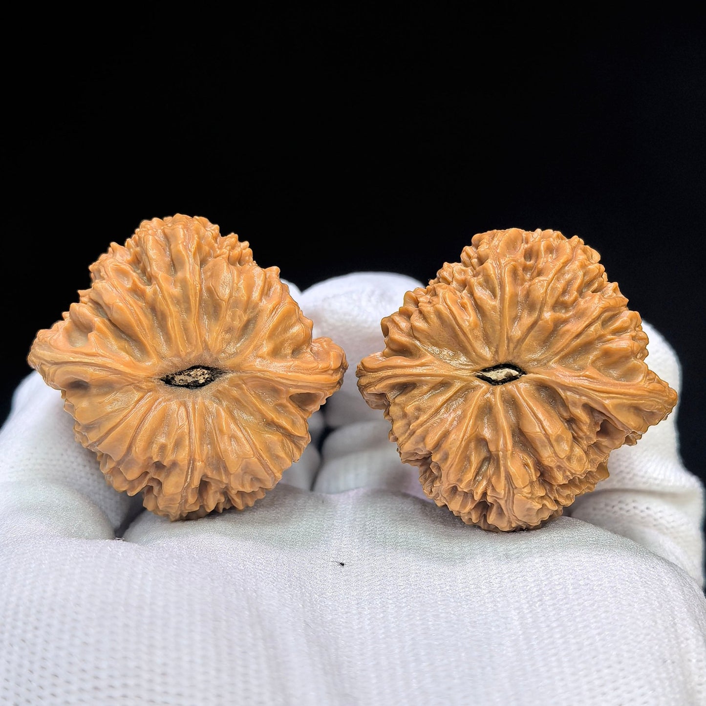 "Triangular Spherical Nanjiangshi" Sanjiao Qiuxing Nanjiangshi Low-Profile Wenwan Walnuts Pair | 39.0mm x 38.0mm | NJS-1510C - ThePatinaProject