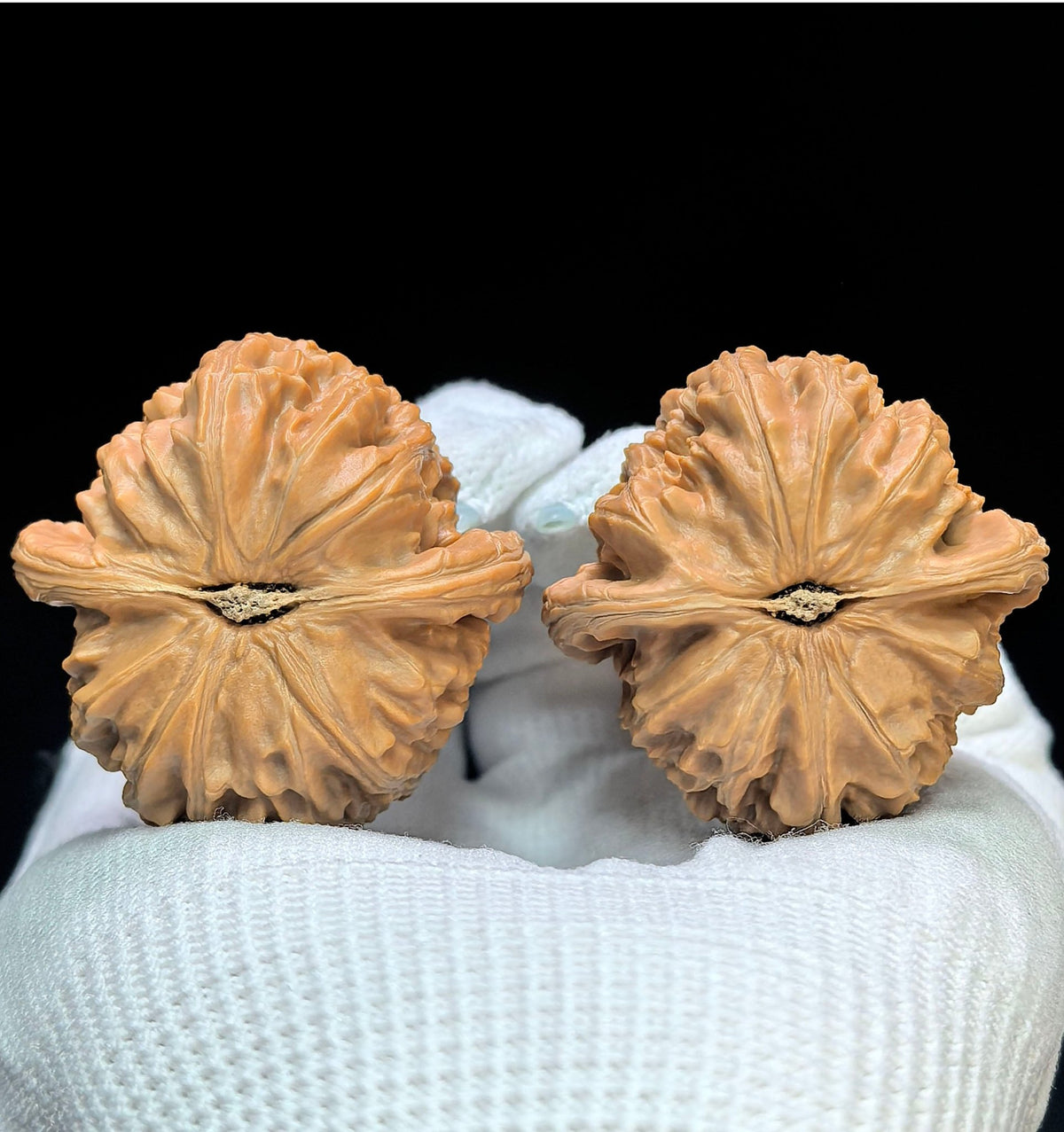 "Triangular Spherical White Lion" Sanjiao Qiuxing Baishizi Low-Profile Wenwan Walnuts Pair | 40.0mm x 40.0mm | BSJ-1502C - ThePatinaProject