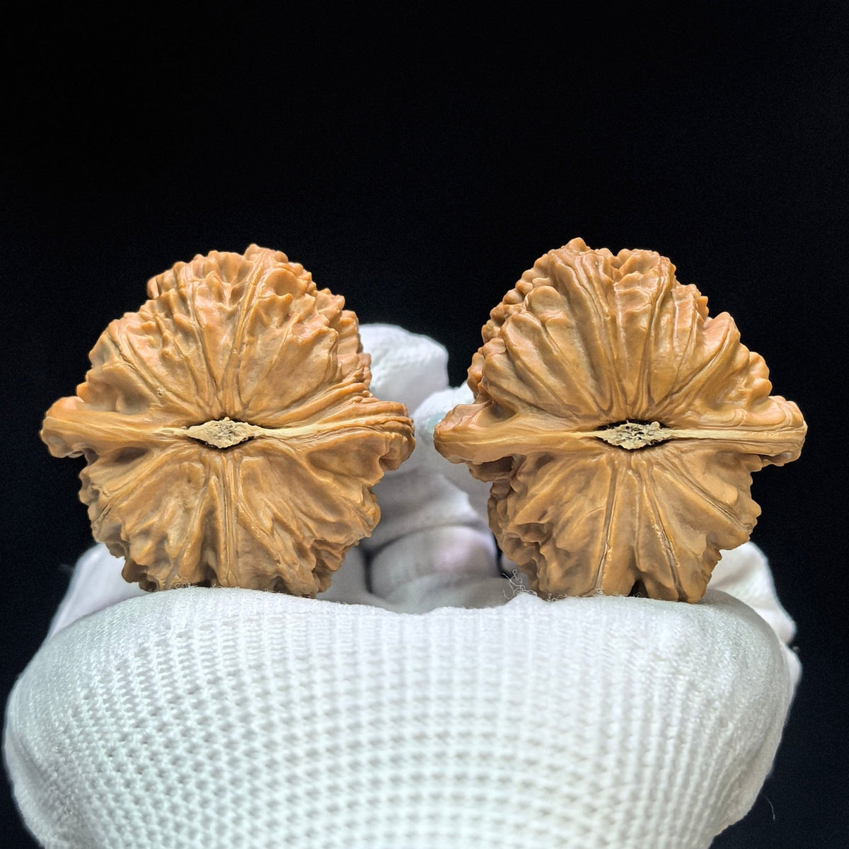 "Triangular Spherical White Lion" Sanjiao Qiuxing Baishizi Low-Profile Wenwan Walnuts Pair | 42.0mm x 44.0mm | BSJ-1501C - ThePatinaProject