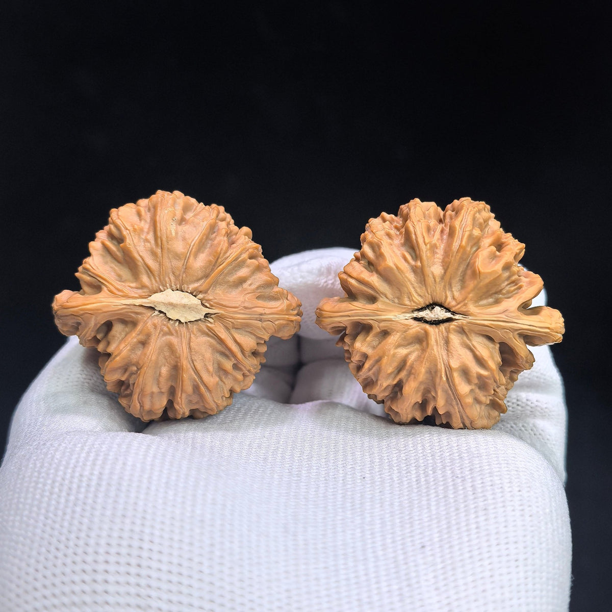 “Triangular White Lion” White Lionhead Wenwan Walnut Pair | 41.0mm × 39.0mm | BSJ-1306C - ThePatinaProject