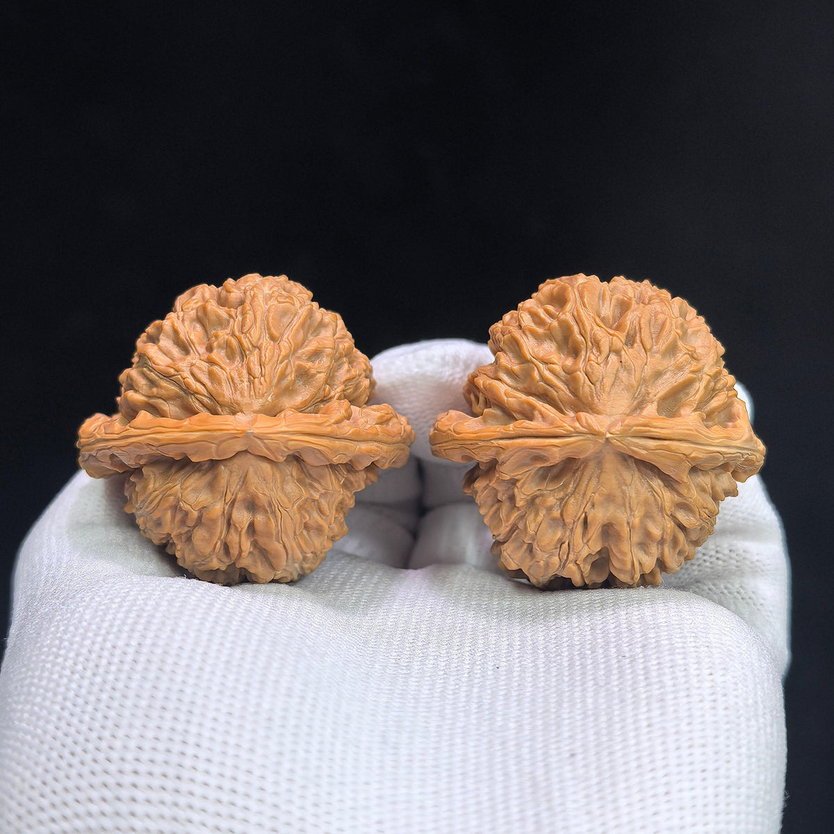 “Triangular White Lion” White Lionhead Wenwan Walnut Pair | 41.0mm × 39.0mm | BSJ-1306C - ThePatinaProject