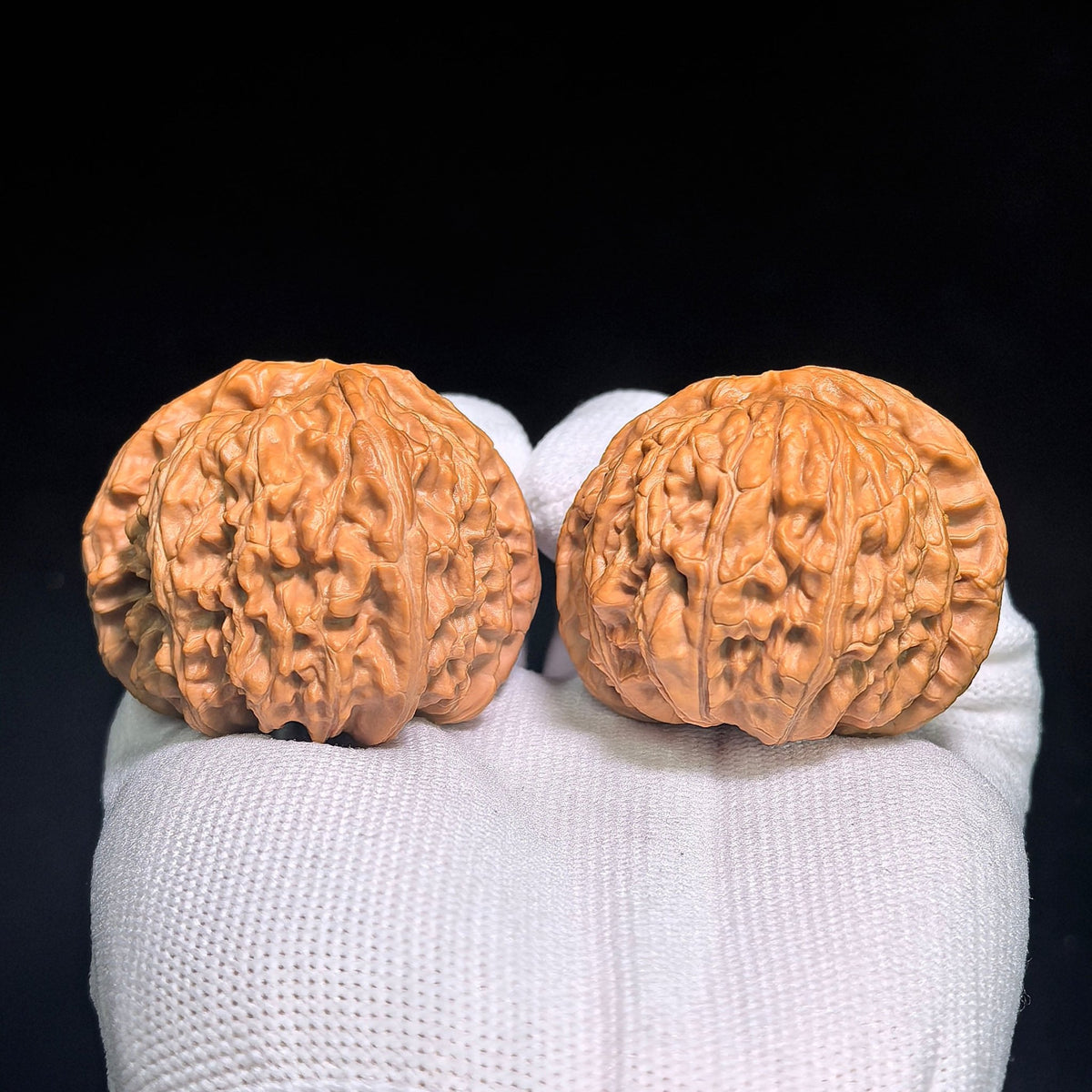 "Turtle-Back White Lion" Baishizi Wuguibei BSJWGB-CG1B3E Wenwan Walnuts Collector Pair | 47.0mm x 43.0mm | Stock ID: BSJWGB-CG1B3E - ThePatinaProject
