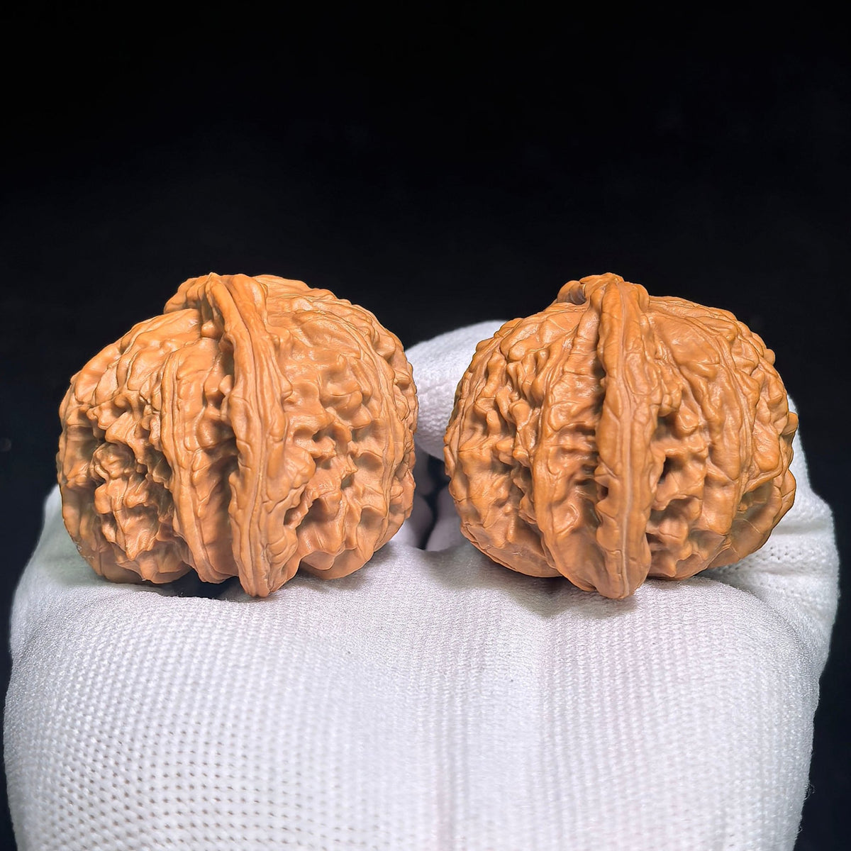 "Turtle-Back White Lion" Baishizi Wuguibei BSJWGB-CG1B3E Wenwan Walnuts Collector Pair | 47.0mm x 43.0mm | Stock ID: BSJWGB-CG1B3E - ThePatinaProject