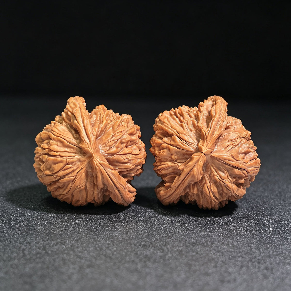 "Turtle-Back White Lion" Baishizi Wuguibei BSJWGB-CG1B3E Wenwan Walnuts Collector Pair | 47.0mm x 43.0mm | Stock ID: BSJWGB-CG1B3E - ThePatinaProject