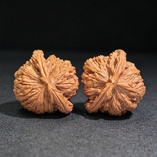 "Turtle-Back White Lion" Baishizi Wuguibei BSJWGB-CG1B3E Wenwan Walnuts Collector Pair | 47.0mm x 43.0mm | Stock ID: BSJWGB-CG1B3E - ThePatinaProject
