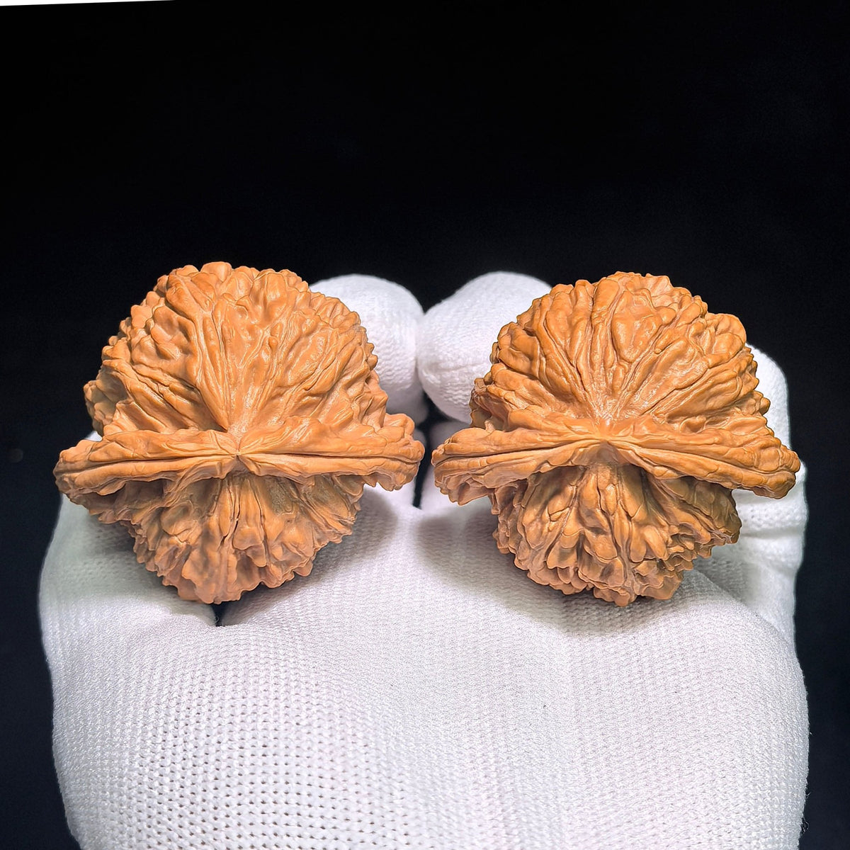 "Turtle-Back White Lion" Baishizi Wuguibei BSJWGB-CG1B3E Wenwan Walnuts Collector Pair | 47.0mm x 43.0mm | Stock ID: BSJWGB-CG1B3E - ThePatinaProject