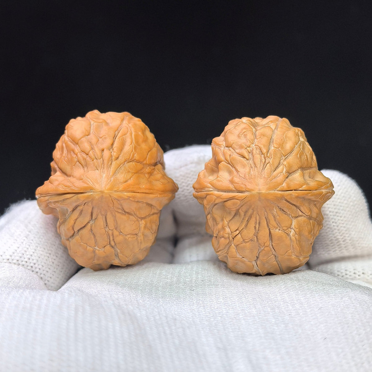 Turtle-Shell “Same-Fruit Twin Halves” Scholar Walnut Pair — 30.0mm x 33.0mm | GJW-SY1F9 - ThePatinaProject