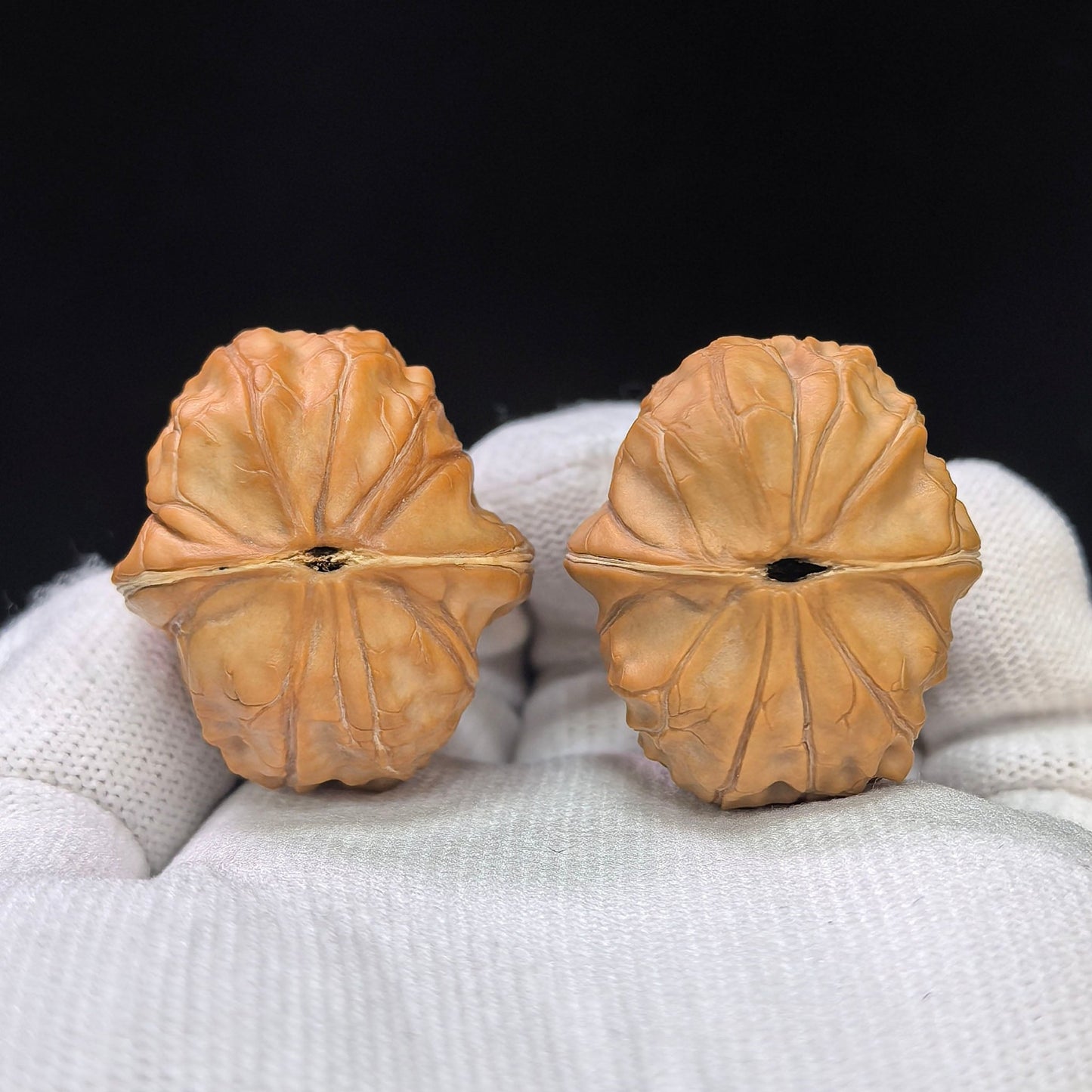 Turtle-Shell “Same-Fruit Twin Halves” Scholar Walnut Pair — 30.0mm x 33.0mm | GJW-SY1F9 - ThePatinaProject