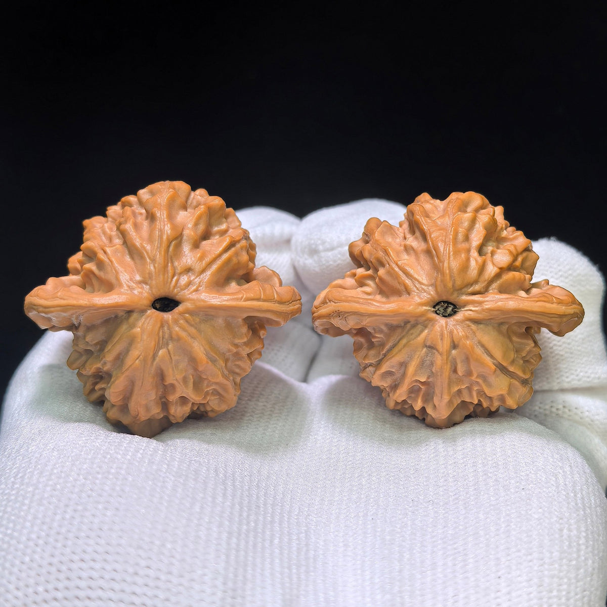 "Tutu" Tutu Low-Profile Wenwan Walnuts Pair | 41.0mm x 39.0mm | TT-1552C - ThePatinaProject