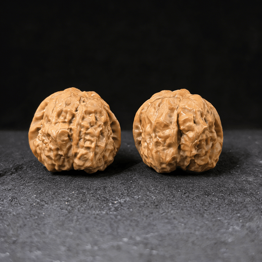 Unique Pair HMT-311: "Toad Head" (Ha Ma Tou) Wenwan Walnuts — Rare Low-Profile Classic - ThePatinaProject