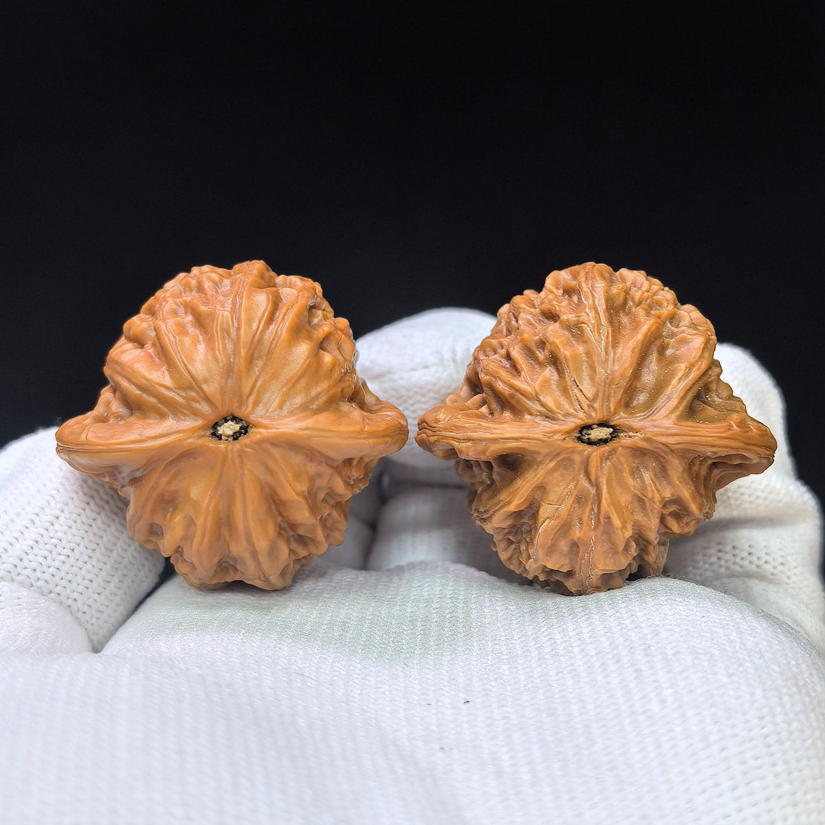 “War Drum” Compact Wenwan Walnuts Pair | 36.0mm × 35.0mm | ZG-1111 - ThePatinaProject