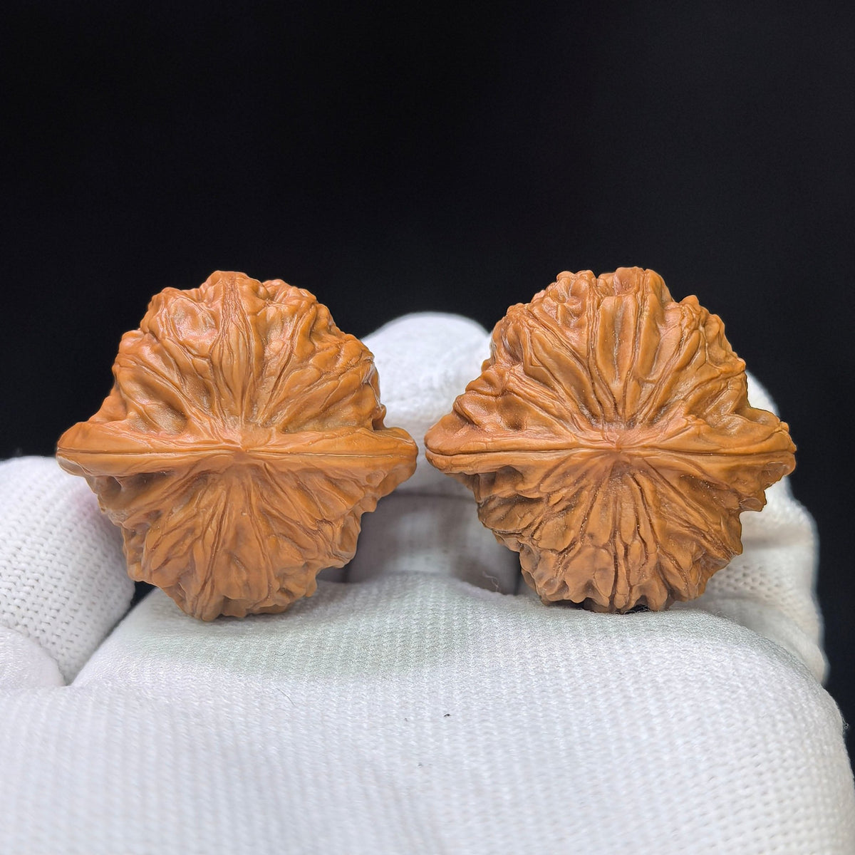 “War Drum” Compact Wenwan Walnuts Pair | 36.0mm × 35.0mm | ZG-1111 - ThePatinaProject