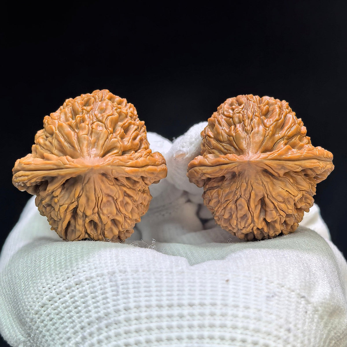 "Water Dragon Grain" Shuilongwen SLW-1601 Classic Wenwan Walnuts Pair | 37.0mm x 38.0mm | SLW-1601 - ThePatinaProject