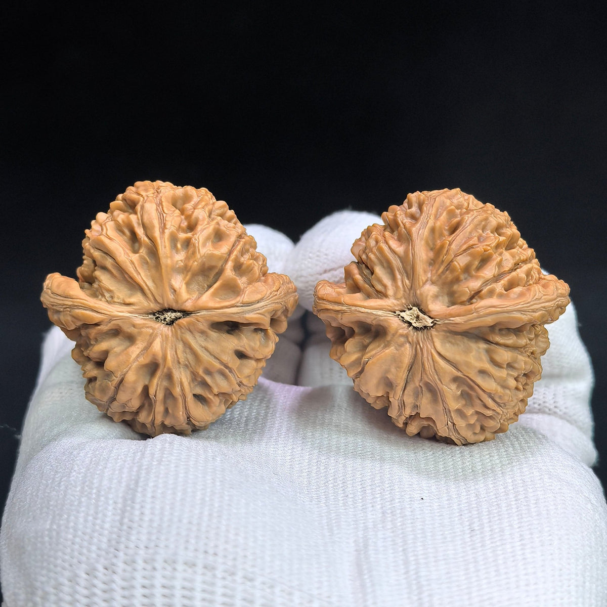 Water Dragon Pattern “Longevity Peach” Spherical Wenwan Walnut Pair — 40.0mm x 40.0mm | Boutique Grade | SLWSTDX-17B0C - ThePatinaProject