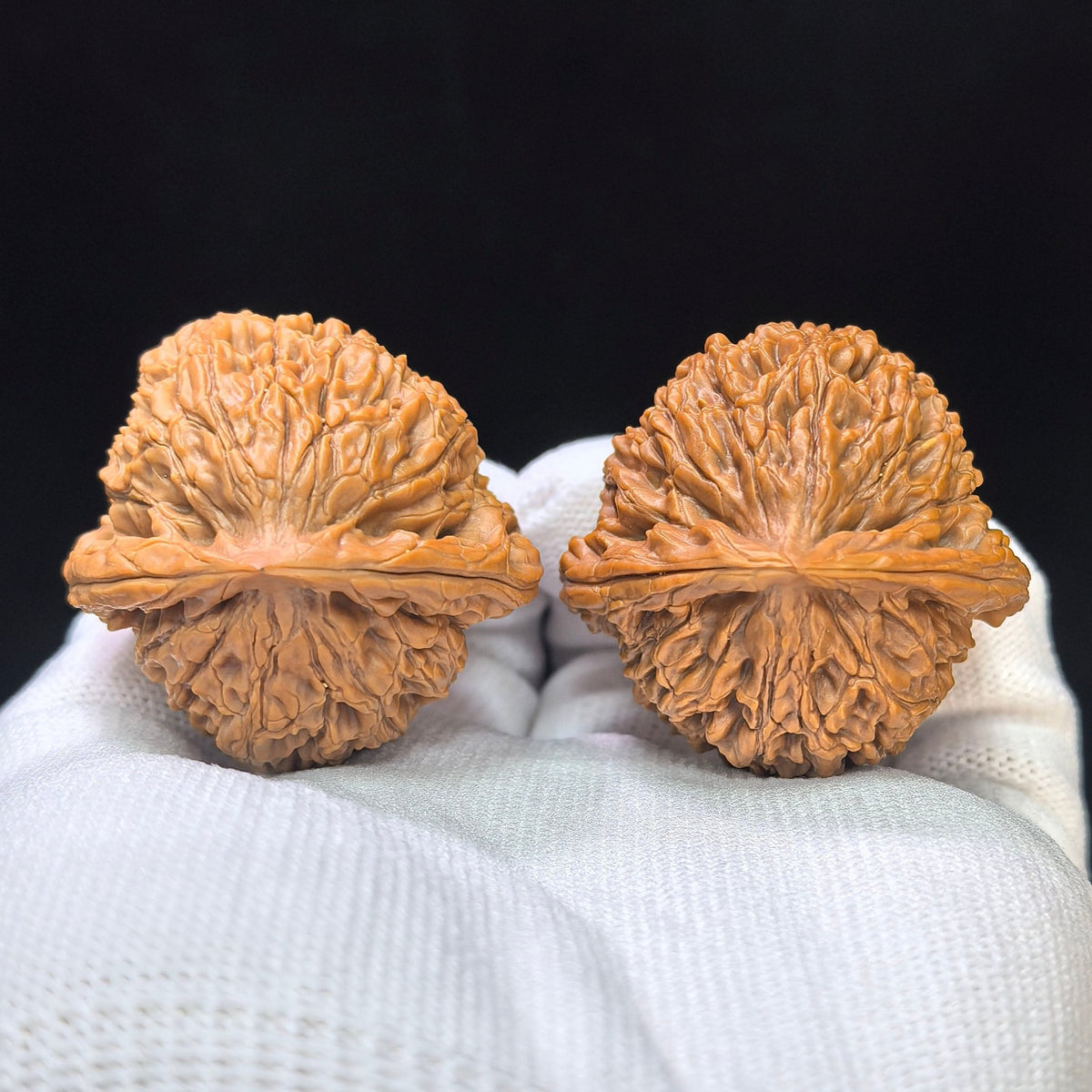 "Water Dragon Texture" Shui Long Wen SLW-1502C Low-Profile Wenwan Walnuts Pair | 40.0mm x 39.0mm | SLW-1502C - ThePatinaProject