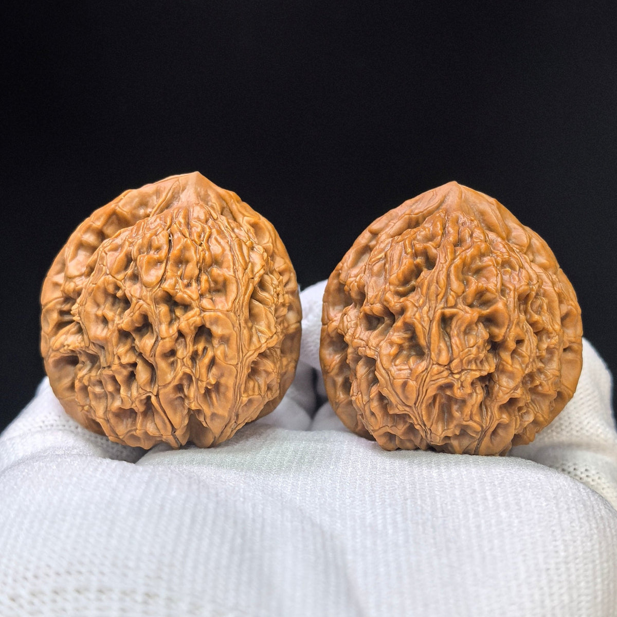 "Water Dragon Texture" Shui Long Wen SLW-1502C Low-Profile Wenwan Walnuts Pair | 40.0mm x 39.0mm | SLW-1502C - ThePatinaProject