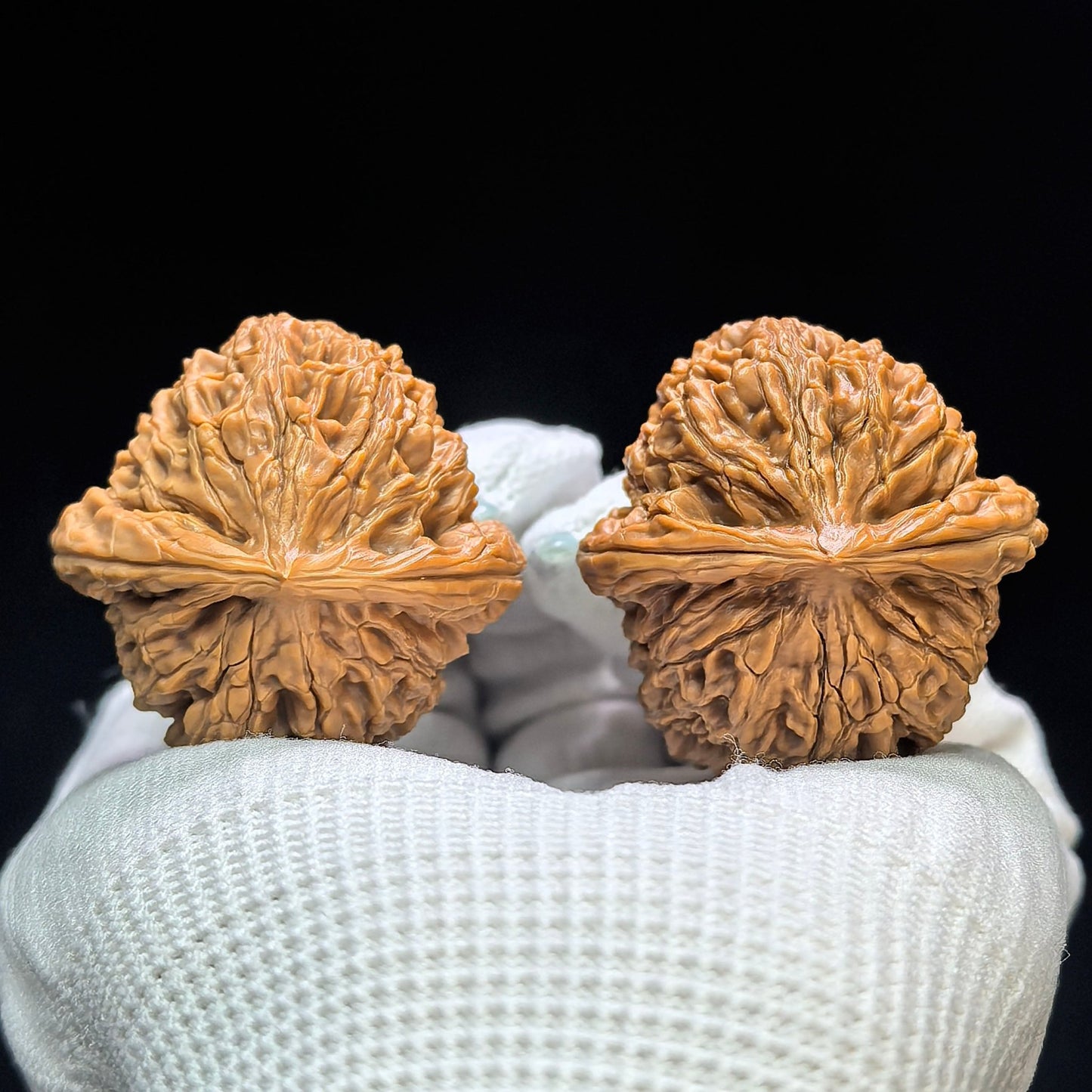 "Water Dragon Texture" Shuilongwen Low-Profile Wenwan Walnuts Pair | 38.0mm x 39.0mm | SLW-1504C - ThePatinaProject