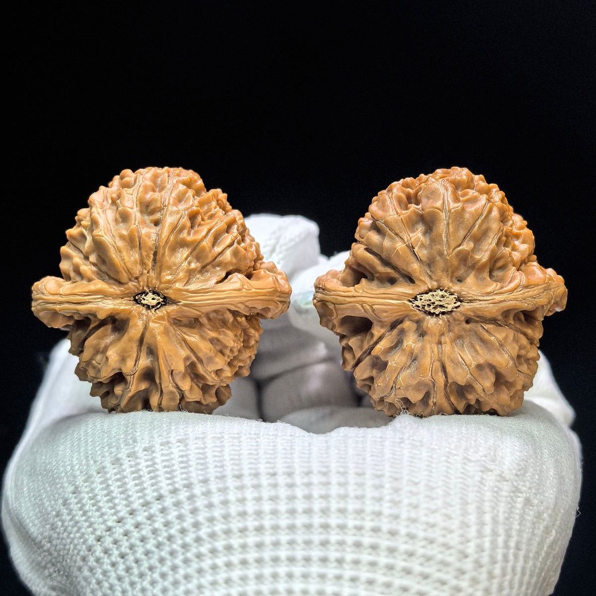 "Water Dragon Texture" Shuilongwen Low-Profile Wenwan Walnuts Pair | 38.0mm x 39.0mm | SLW-1504C - ThePatinaProject