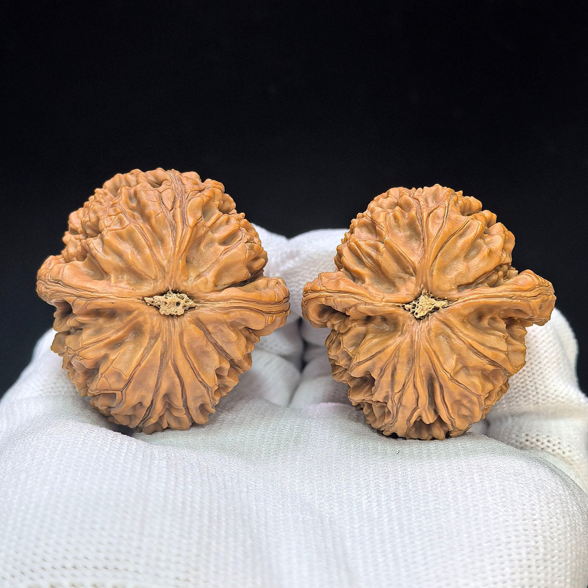 "Water Dragon Texture" Shuilongwen SLW-1501C Low-Profile Wenwan Walnuts Pair | 40.0mm x 41.0mm | SLW-1501C - ThePatinaProject