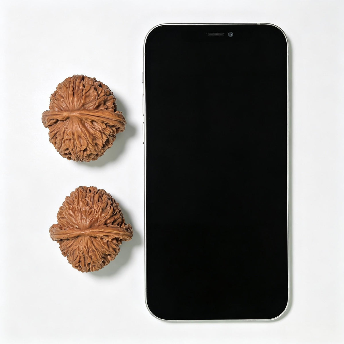 "Water Dragon Texture" Shuilongwen SLW-1501C Low-Profile Wenwan Walnuts Pair | 40.0mm x 41.0mm | SLW-1501C - ThePatinaProject