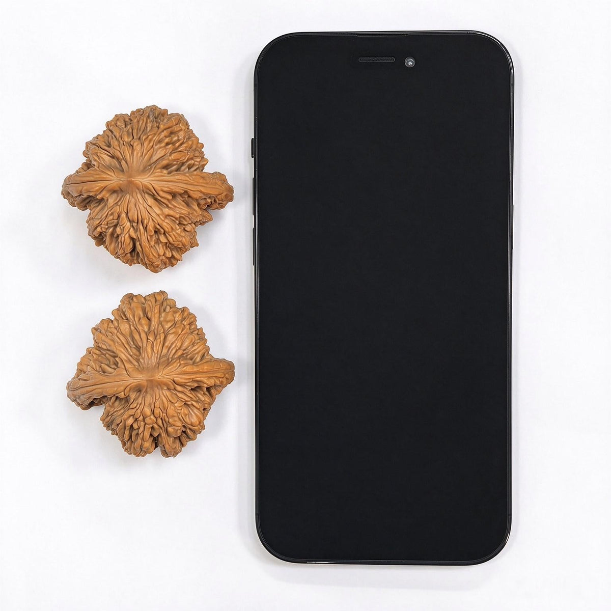 "Wheat Ear Tiger Head / Mai Sui Hu Tou" Heirloom Collection Wenwan Walnuts Pair | 44.0mm x 44.0mm | MSHT-1002 - ThePatinaProject