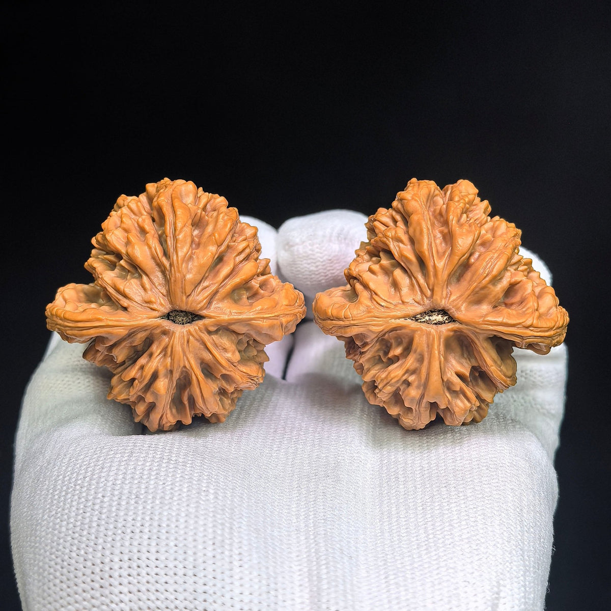 "Wheat Ear Tiger Head / Mai Sui Hu Tou" Heirloom Collection Wenwan Walnuts Pair | 44.0mm x 44.0mm | MSHT-1002 - ThePatinaProject