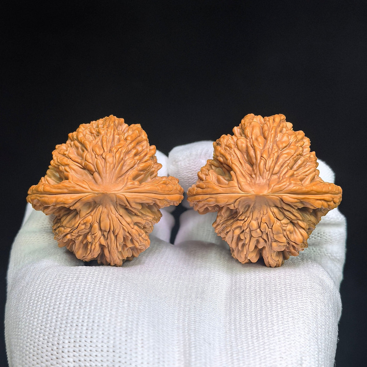 "Wheat Ear Tiger Head / Mai Sui Hu Tou" Heirloom Collection Wenwan Walnuts Pair | 44.0mm x 44.0mm | MSHT-1002 - ThePatinaProject