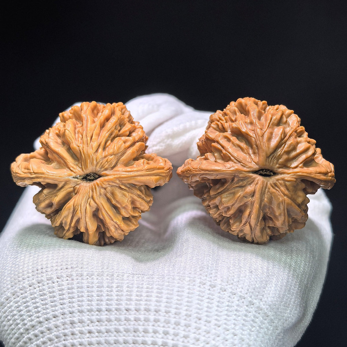 "Wheat Ear Tiger Head" (Mai Sui Hu Tou) MSHT-1405 Collector Wenwan Walnuts Pair | 40.0mm x 36.0mm | Stock ID: MSHT-1405 - ThePatinaProject
