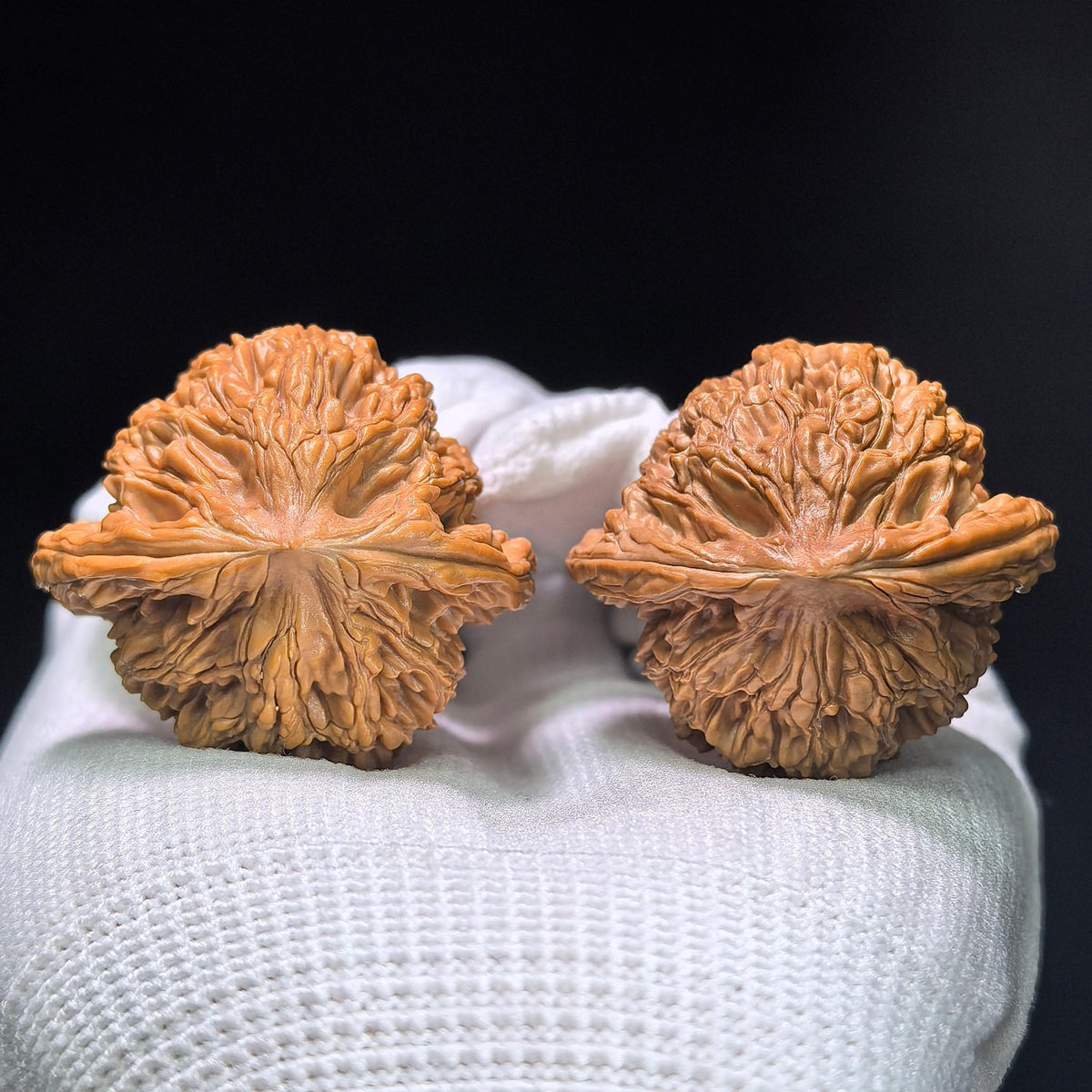 "Wheat Ear Tiger Head" (Mai Sui Hu Tou) MSHT-1405 Collector Wenwan Walnuts Pair | 40.0mm x 36.0mm | Stock ID: MSHT-1405 - ThePatinaProject