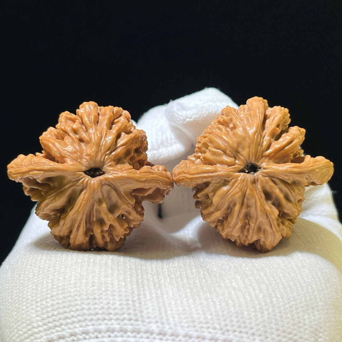 "Wheat Ear Tiger Head" Maisui Hutou Wenwan Walnuts (Pair) | 36.0mm x 39.0mm | Stock ID: MSHT-1107 - ThePatinaProject
