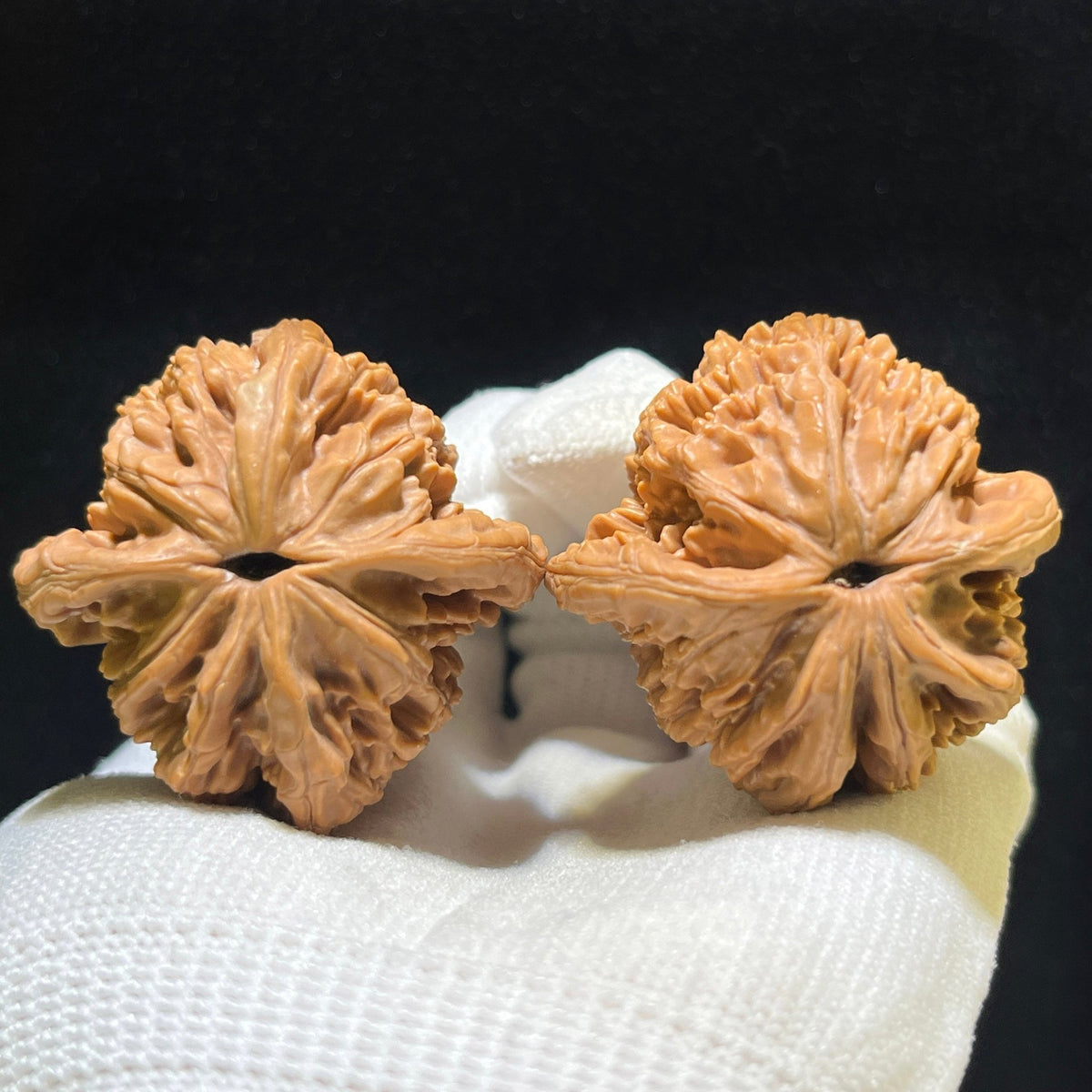 "Wheat Ear Tiger Head" Maisui Hutou Wenwan Walnuts Pair | 40.0mm x 39.0mm | MSHT-1102 - ThePatinaProject