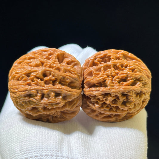 "Wheat Ear Tiger Head" Maisui Hutou Wenwan Walnuts (Pair) | 41.0mm x 37.0mm | Stock ID: MSHT-1109 - ThePatinaProject