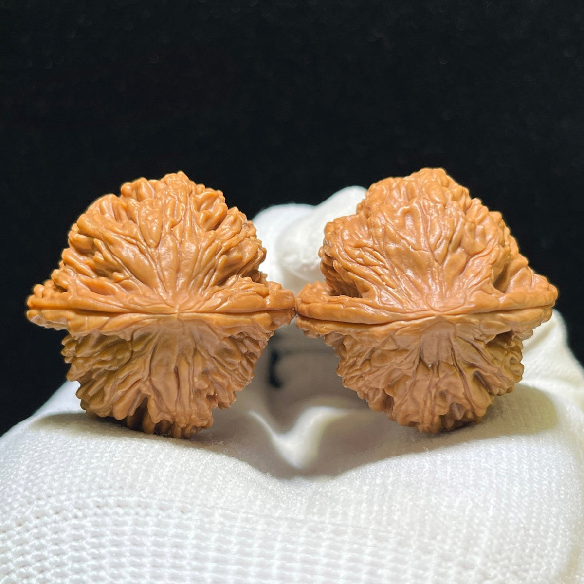 "Wheat Ear Tiger Head Pocket Size" Maisui Hutou Wenwan Walnuts Pair | 33.0mm x 33.0mm | MSHT-1105 - ThePatinaProject