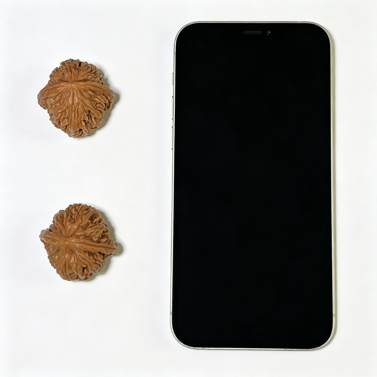 "Wheat Ear Tiger Head Pocket Size" Maisui Hutou Wenwan Walnuts Pair | 33.0mm x 33.0mm | MSHT-1105 - ThePatinaProject