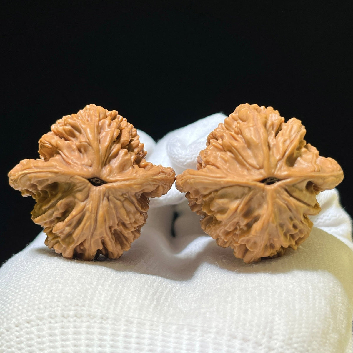 "Wheat Ear Tigerhead" Maisui Hutou Classic Heritage Low-Profile Wenwan Walnuts Pair | 37.0mm x 35.0mm | MSHT-1112 - ThePatinaProject