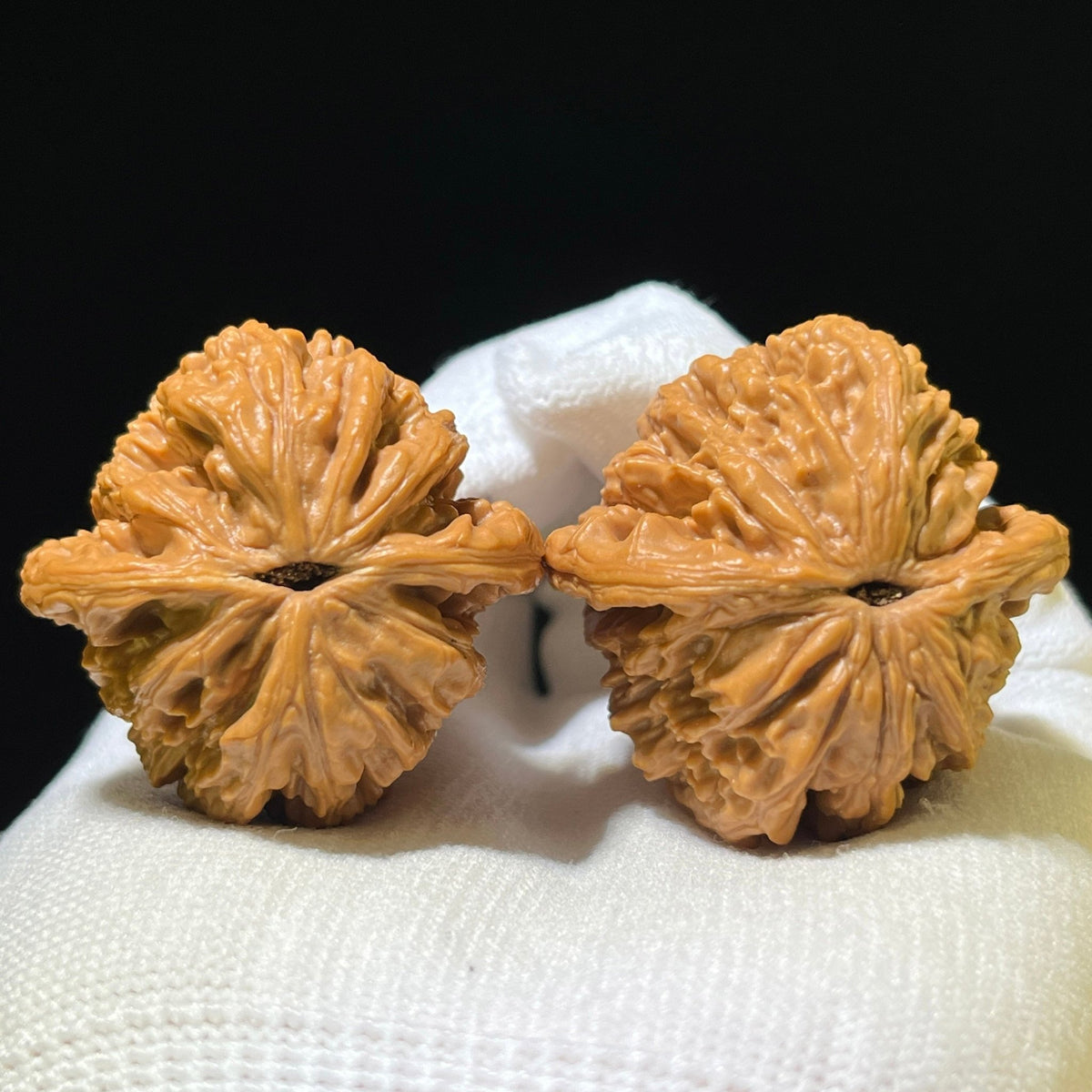 "Wheat Ear Tigerhead" Maisui Hutou Classic Heritage Wenwan Walnuts Pair | 37.0mm x 37.0mm | MSHT-1111 - ThePatinaProject