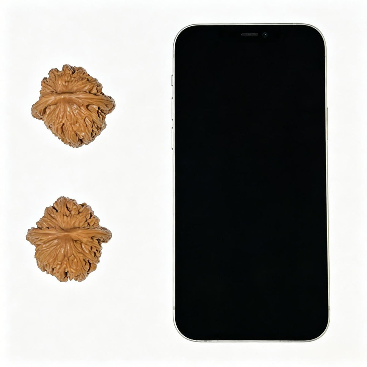"Wheat Ear Tigerhead" Maisui Hutou Classic Heritage Wenwan Walnuts Pair | 37.0mm x 37.0mm | MSHT-1111 - ThePatinaProject